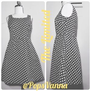 The Limited gray and white polka dots dress